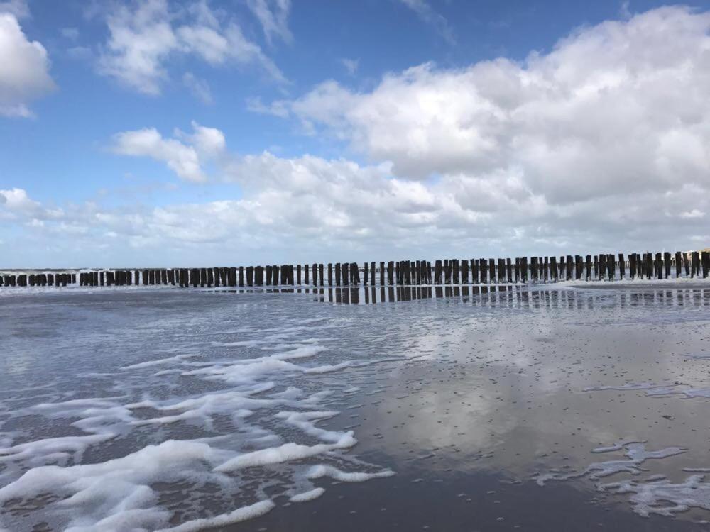 Duinvilla Aan De Zee B&B Заутеланде Екстериор снимка